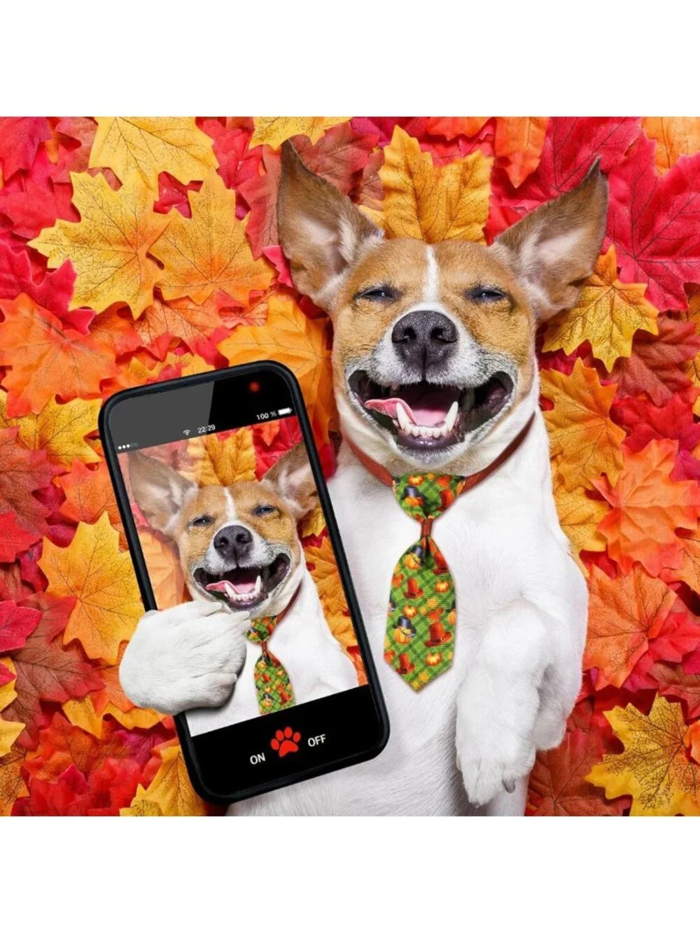 150 Pcs Adjustable Fall Dog Bow Ties & Neckties with Maple Leaves Design